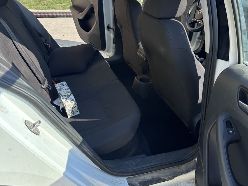 Rear seats and carpet where pet hair embeds itself
